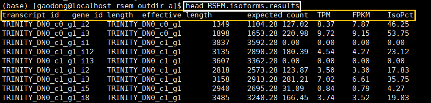 RSEM_isoforms